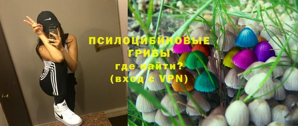 гидропоника Алексеевка