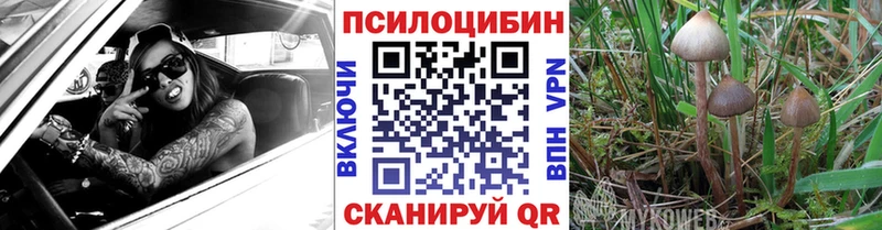 Галлюциногенные грибы Cubensis  как найти наркотики  kraken сайт  Биробиджан 