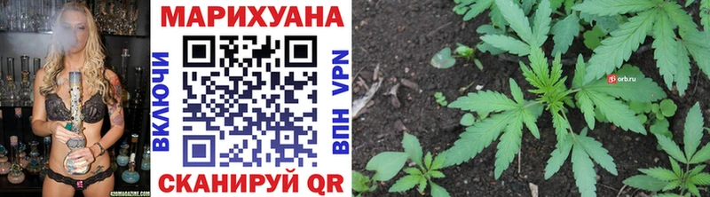 Бошки марихуана планчик  где купить   Биробиджан 